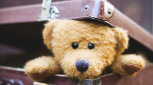 Stuffed bear sticking head out of suitcase